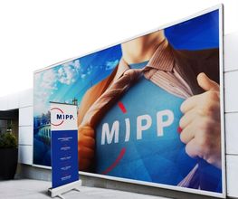 MIPP image 2