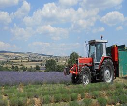 Parfums Provence Ventoux image 3