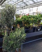 HELLWEG - Die Profi-Baumärkte Essen Bild 8