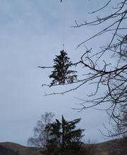 Nesurini Daniele - Lavori Forestali e Segheria Bild 6