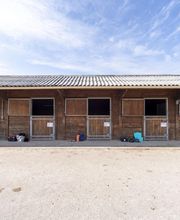 Poney Club Des Cinq Arpents image 14