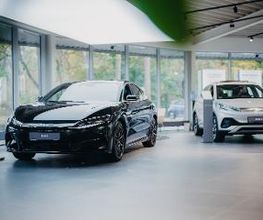 BYD - STERNAUTO Bild 6