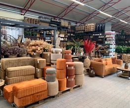 Intratuin Zevenhuizen afbeelding 15