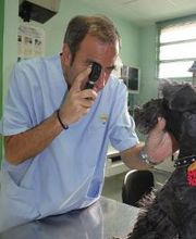 Argos Clínica Veterinaria imagen 4