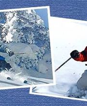 Martin Jacques image 2