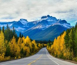 cezanne_5_370x320_canada.jpg