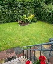 Gartenbereich mit Hecke und Büschen.