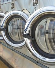 Senteur Corbeille image 2