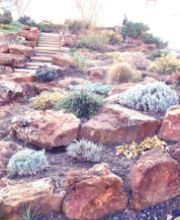 Viala Christophe image 1