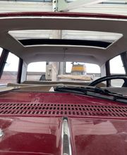 Sellerie Cellier image 20