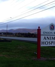 Onion River Animal Hospital image 11