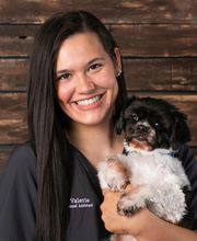 Petersen Pet Hospital image 11