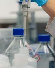 Royal-Service GmbH Bild 1