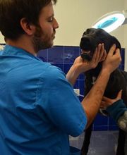 CLÍNICA VETERINÀRIA REUS imagen 14