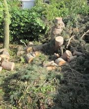 Krismann Espaces Verts image 4