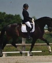 Les Écuries de Coatélan image 6