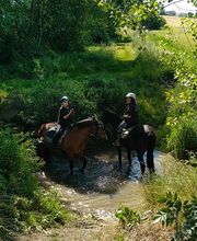 Les Poneys de Monthoiron image 16