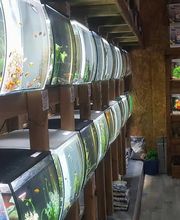 AmaitaVet Clínica Veterinaria imagen 9