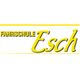 Fahrschule Esch