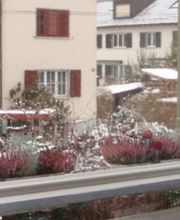 Rollfenster GmbH Bild 13