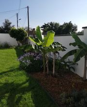 MANO PAYSAGE image 3