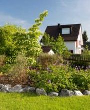 Peter Meier Gartenbau AG Bild 6