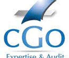 CGO Expertise et Audit image 2