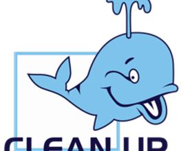Clean Up Services image 1