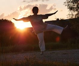 Taiji-Qigong mit Regine Bild 1