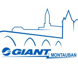Giant image 4