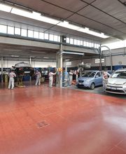 Gallery Cliente