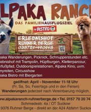 Alpaka Ranch Ruhner Berge Bild 1