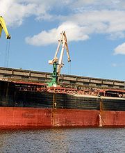 Skipper Transit image 1