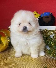 El Edén de Lilith imagen 5