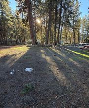 Rimrock Lake Resort image 8