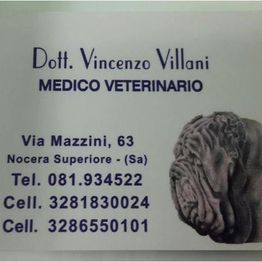Centro Medico Veterinario Villani Dr. Vincenzo logo