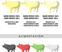 iberico_embutido_mungia.jpeg