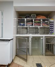 Clinique Vétérinaire Mon Véto Bourgtheroulde image 2