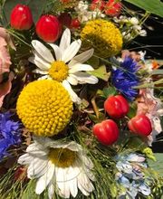 Blumen Meyer Bild 9