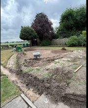 Haus-&Gartenservice Rose Bild 3