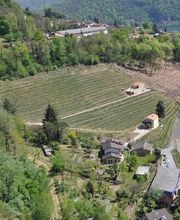 Cantine Ghidossi Sagl Bild 3