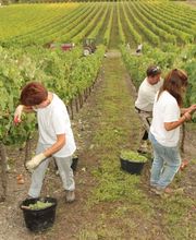 SCE Tresbaudon image 4