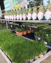 Salles de bains & sanitaires HORNBACH Villeneuve Bild 10