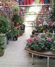 Bricomarché Cabestany image 2