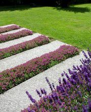 Hess Galabau AG Bild 14