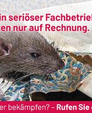 ATOX Schädlingsbekämpfungsfachbetrieb Bild 10