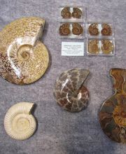 Minéraux Cristaux Bild 2