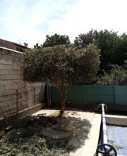 L allée des verts image 1