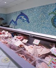 Gallery Professionale