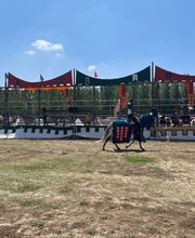 B&B Puente de Órbigo imagen 5